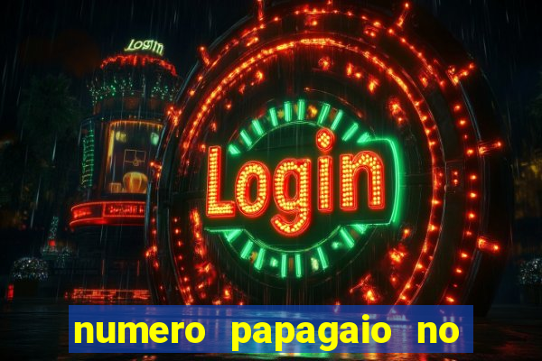 numero papagaio no jogo do bicho